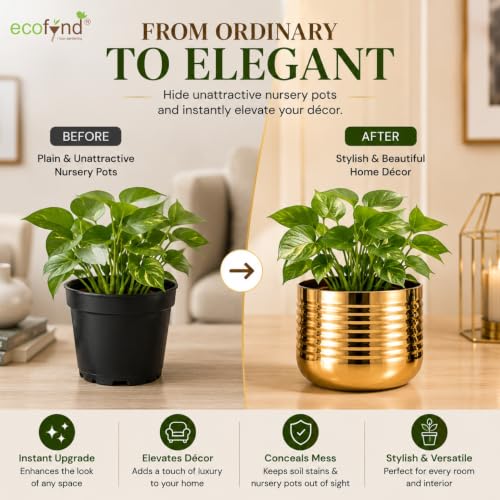 Image of ecofynd 1 Pack Metal Plant Pots (5 inch), Indoor Small Planter Flower Pots, Home Garden Decor Planter for Living Room Bedroom Interior (Gold Finish, POT052)