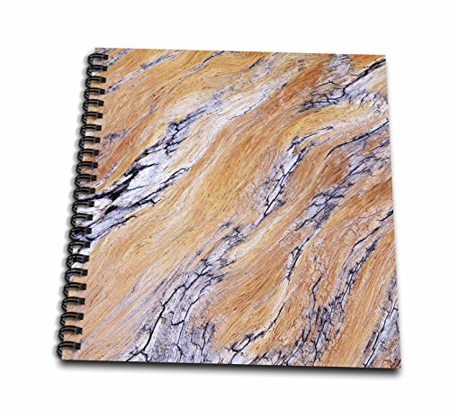 Livre de mémoire grain de bois pour ne plus oublier vos précieux souvenirs de vacances
