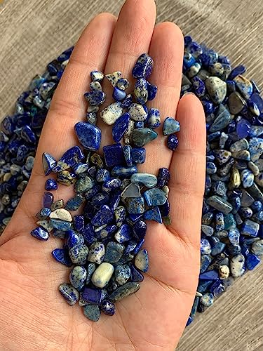 Image of GAF TREASURES 2 oz Lot Natural Semi Tumbled Gemstone Chips, Crushed Mini Crystals, Undrilled Crystal Chips (Lapis Lazuli)
