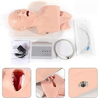 Training Simulator - Airway Management Manikin for Teaching and Study Model, Head Trainer for Medical Professionals