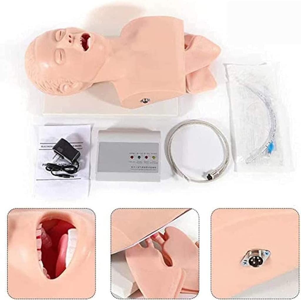 Intubation des Atemwegsmanagement Trainers 110-220V Intubation Manikin Training Simulator Airway Management Trainer Intubation Leiter Unterrichtsstudie Model Manikin