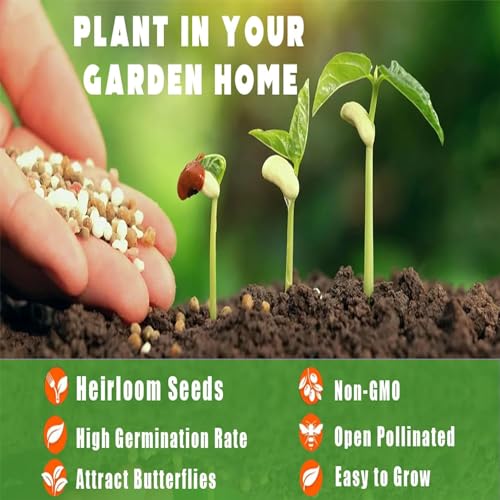 10+ Wild Plum Tree Fruit Seeds for Planting Outdoor-Perennial Native Prunus Americana Non-GMO Fruit Tree Seeds