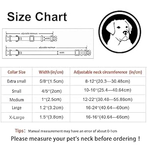 Mr Chubbyface spring summer dog collar cute pink beach bikini dog collar girl boy dog collar for small medieum large dogs   cucciolini doodles