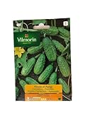 Vilmorin
