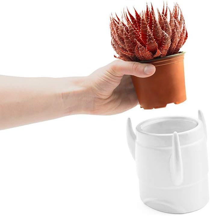 Luckies of London Ceramic Plant Pot 6 inches - Modern Unique Rocket Planter for Succulents, Small Plants, Flowers, Cactus for Indoor and Outdoor Use, White