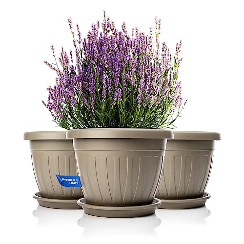 BigDean 3X Blumentopf mit Untersetzer rund ø40xH31 cm Mokka/braun - wetterfester Pflanzkübel - Wasserablauf UV-beständig aus bruchsicherem Kunststoff - Innen + Außen geeignet - Made in Europe