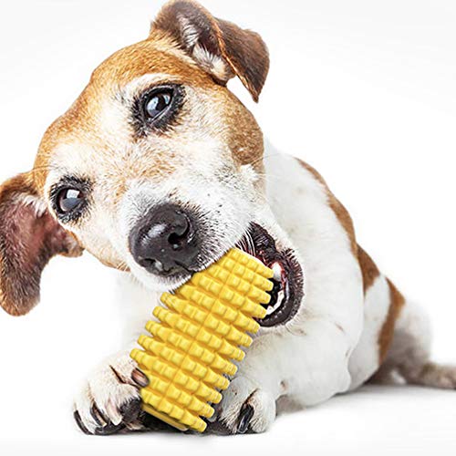 Balacoo brinquedo de milho para cães mastigáveis, puxadores, para cães, corda de brinquedo com vento