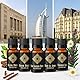 ALMA® Luxus Ätherische Öle Geschenkset – 6 x 10ml 100% Reine Naturöle – Aromatherapie, Entspannung & Massage – Premium Wellness Set – Hochwertige Duftöle (No.2)