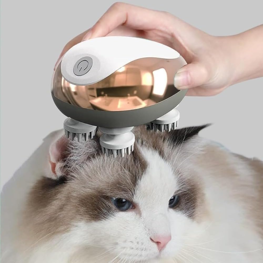 51MNPr3EGUL.jpg