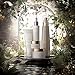 ALQVIMIA Essentially Beautiful - Serum Facial noche pieles Sensibles CALM