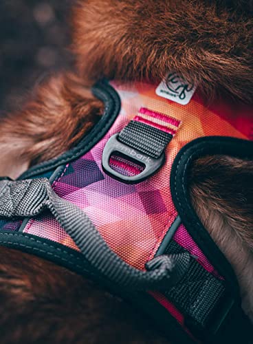 Embark Urban Dog Harness, No Pull Dog Harness with 2 Leash Clips, Dog Harness for Large Dogs No Pull. Front & Back with… - Image 7
