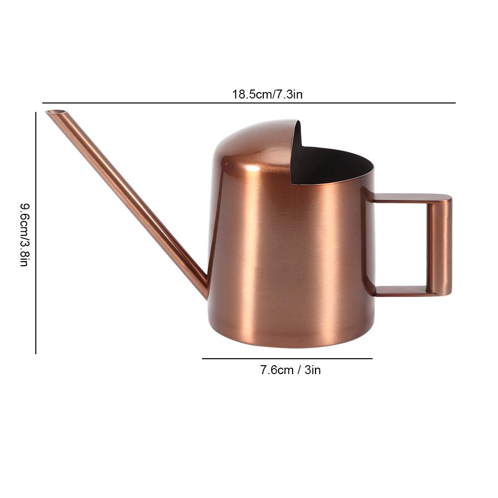 Arrosoir Acier Inoxydable 300ml Long Bec Poignée Latérale Petit