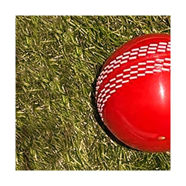 Cricket Ball i20 Wind Look Like Leather Ball - Image 4