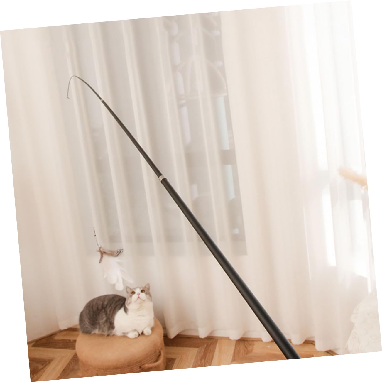 Kisangel 4stücke Interaktive Katzenspielzeuge Mit Teleskopstangen Lange Katzenangel Mit Weißem Federanhänger Für Indoor-Spiel Fördert Die Jagdinstinkte Und Bewegungsfreude Ihrer Katze