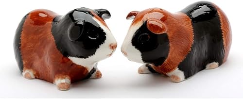 Juego de salero y pimentero de porcelana fina, 3-7/8" L