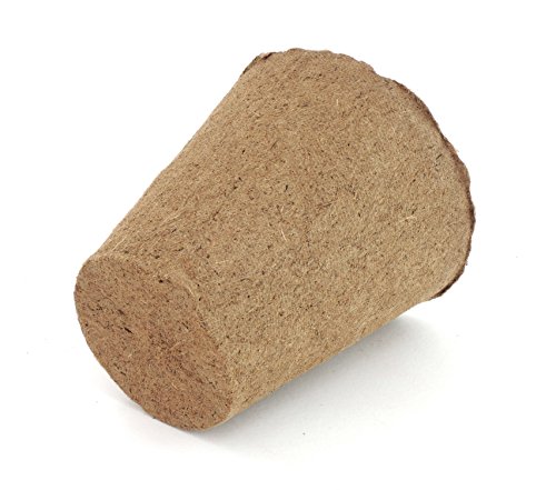 Daniel's Plants Biodegradable Seed Starter Pots (30 Pack) - Image 6