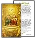 Nicene Creed Laminated Holy Card Blessed By His Holiness Pope Francis