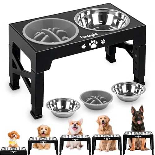 Comedouro Elevado para Cães Gatos Pet inox com Lento Cor Preto
