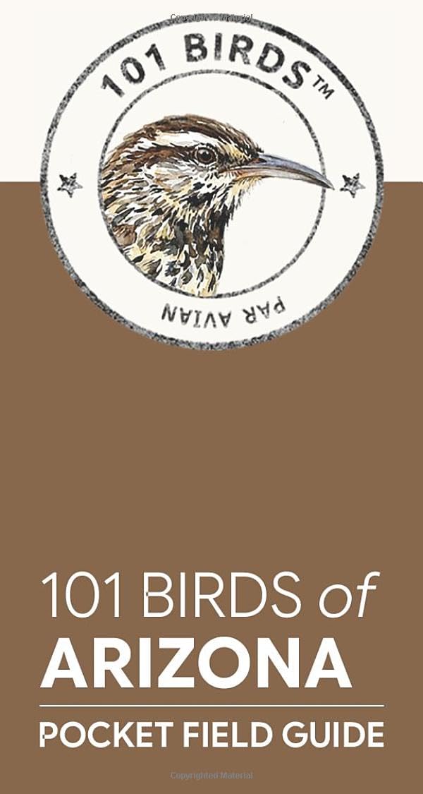 101 Birds of Arizona: Pocket Field Guide (101 Birds Pocket Field Guides)