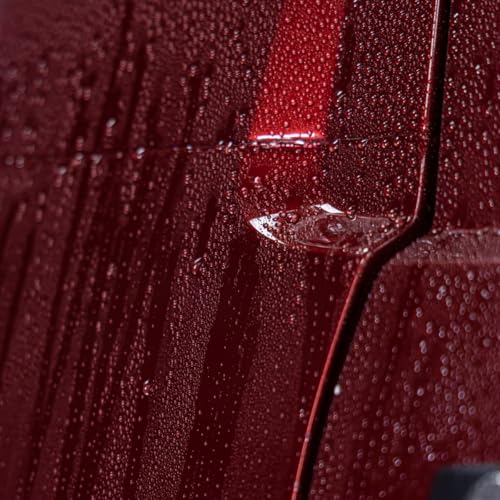 Gladius Vonixx Reconstrutor Cerâmico Brilho Proteção 500ml + Pano microfibra 40x40 Aplicador