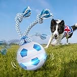 Pet Prime Interactive Dog Toys Self Moving Automatic Rolling Ball on Rope USB Rechargeable Auto-Standby, 3 Modes for Boredom Relief & Anxiety, for Small Medium Breeds Indooor/outdoor Play