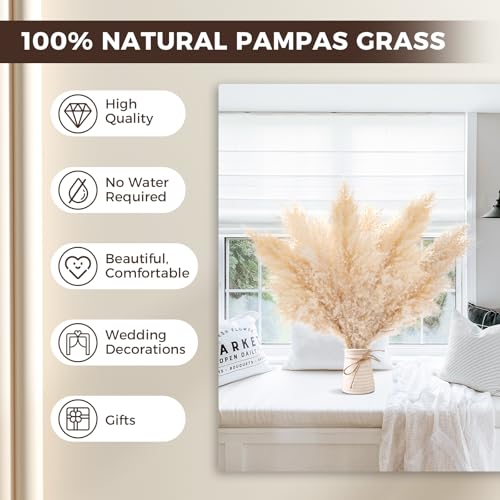 Miniatura 2 de Datefun Pampas Seco - 10 Piezas Flores Secas Naturales 43 Cm - Decorativas Para Decoración Boho, Home, Bodas Y Fiestas Rústicas