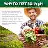 Soil pH Test Kit,125 Soil pH Test Strips (3-9 Range) Quick & Accurate Soil Testing Paper for Gardens Lawns Farms Grass Flower Vegetable Compost Plants