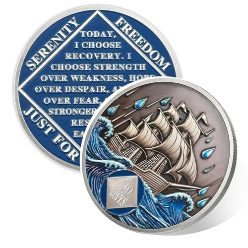 Vitalway Braving the Storm 30 Day Sobriety Coin, NA Recovery Medallion