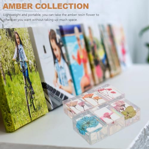 Presse-papiers résine ambre fleurs séchées objet de collection unique - 7