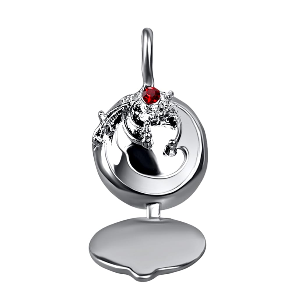 Niche-FindsSTAINLESS STEEL Vervain Necklace Locket FILLED WITH REAL VERVAIN Verbana