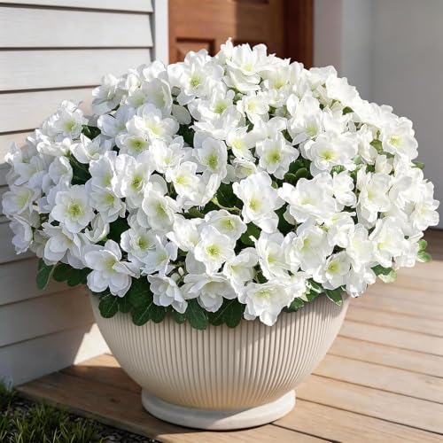 Image of YXZZWL 8 Bundles Artificial Flowers for Front Door, Fake Silk Azalea Bouquet Silk Flowers for Outside UV Resistant Realistic Faux Plants for Planter Farmhouse Patio Garden Walkways Home Decor (White)