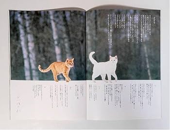 Amazon.co.jp: 1986年映画子猫物語パンフレット坂本龍一