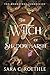 The Witch of Shadowmarsh (The Moonstone Chronicles Book 1)