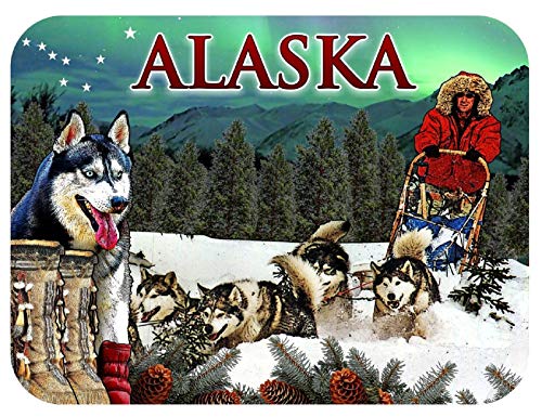 Alaska Dog Sledding and Northern Lights Fridge Magnet