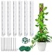 Produktbild 6 Stück Moosstab Rankhilfe Transparent Rankhilfe Monstera, 24 Zoll Moosstab für Rankhilfe Monstera DIY Moosstab mit 9 Erdspieße, 2 Klettverschluss und 20m Bänder