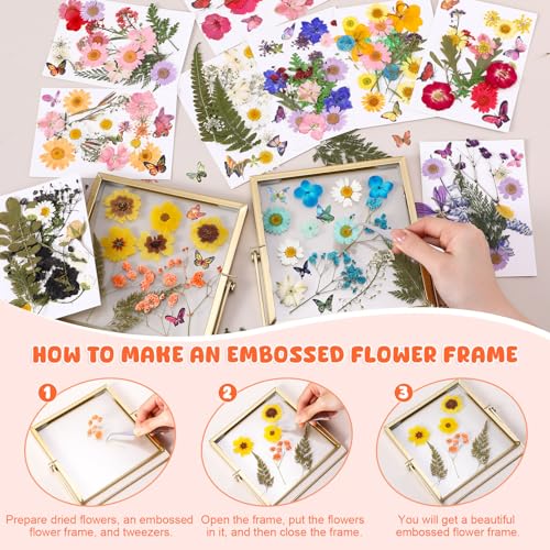 Flores Secas Presionadas AmazingSpark 650 piezas para manualidades miniatura 2