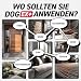 RepellShield® Hundeabwehrspray -250ml - Nicht färbend - Hunde Abwehrspray zur Ausbildung & Erziehung - Bitterspray Hund zur Abschreckung gegen Kauen & Beißen von Möbeln - Hundeschreck