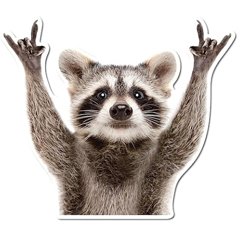 ArkWisdom Rocking Raccoon Sticker AWPS109 Cover