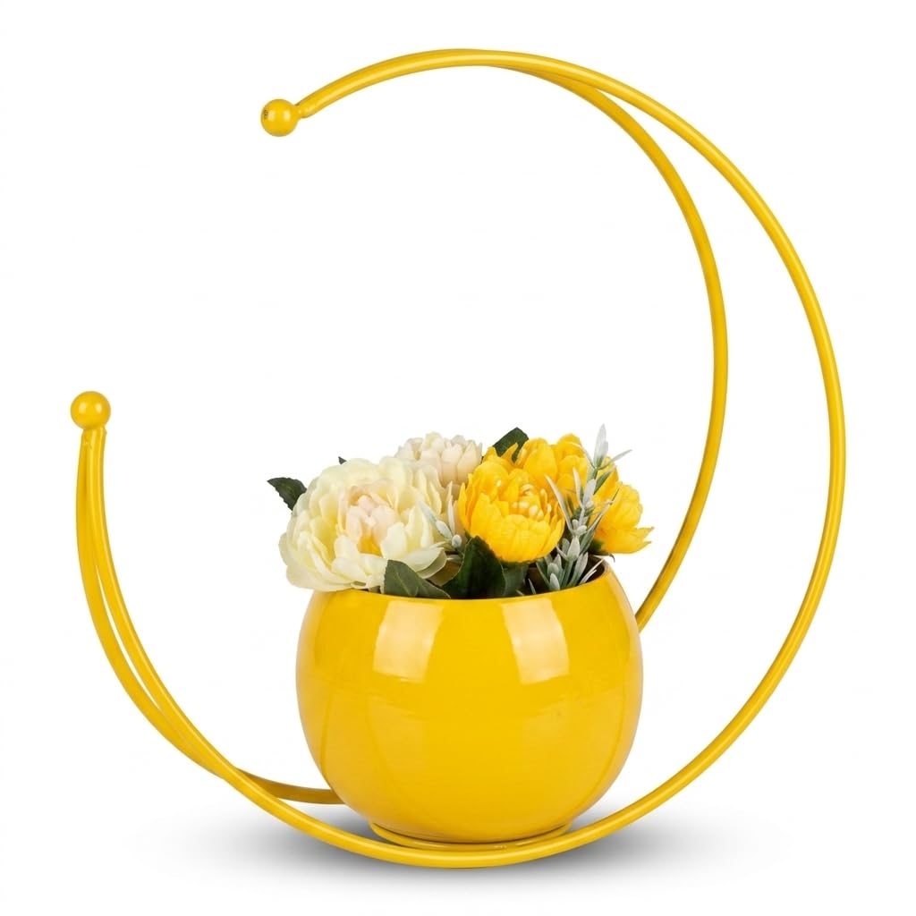 Buy Youngsera Moon Vase | Flower Vase for Living Room & Table