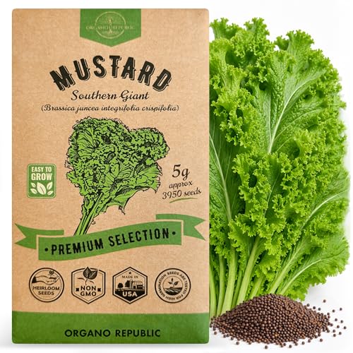 Organo Republic Mustard Southern Giant Seeds Pack 5 G - Over 3 950 Non-GMO Heirloom Mustard Seeds for Planting Greens in Individual Seed Packet Greens Seeds for Planting Home Garden Indoor & Outdoor