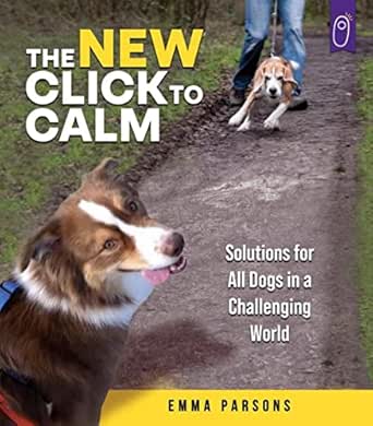 The New Click to Calm - Kindle edition by Parsons, Emma. Crafts ...