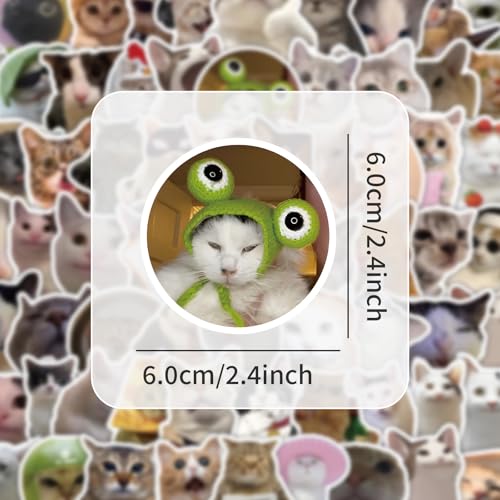 Image of 300 Pcs Funny Cat and Dog Meme Stickers Pack, Realistic Pet Vinyl Stickers for Teens Adults, Waterproof Decals for Laptop, Water Bottle, Phone, Scrapbook