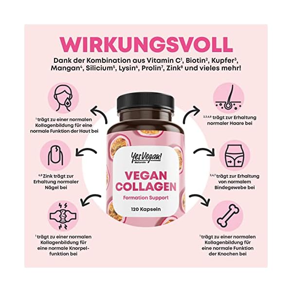 Vegan Collagen (120 Kapseln) mit Aminosäuren, Vitamin A C E, Biotin, Silicium, Zink und Mangan I Pflanzliche Alternative zu Collagen Pulver I Kollagen vegan – Bild 5