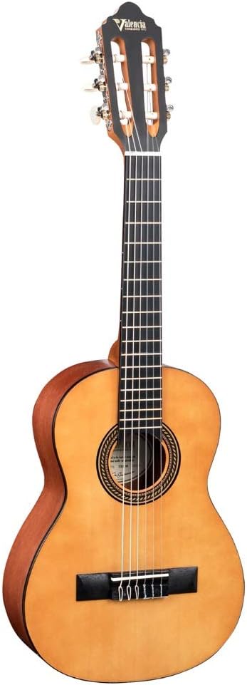 Takamine Tシリーズ アコースティックギター サンバースト takamine ギター