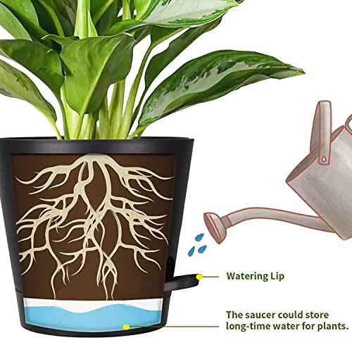 Image of Heart Home Plastic Titan Pot|Garden Container for Plants & Flowers|Self-Watering Pot with Drainage Holes,6 Inch,Pack of 4 (Green)