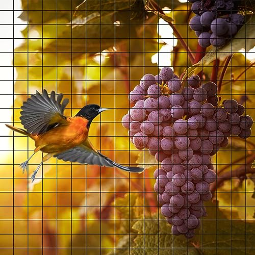 Fafaland BIRD NETTING 7X100 Feet For Garden Protection thumb #4