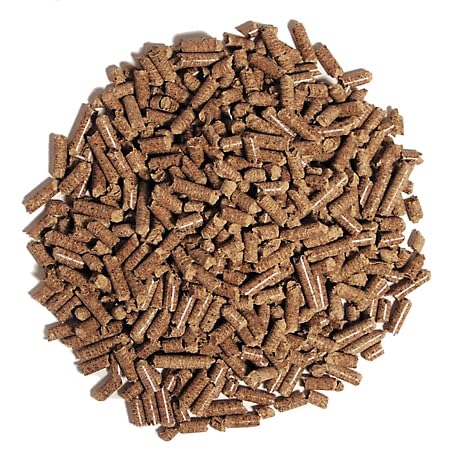 Bio Gold Wooden Pellets Fire Starter Eco Friendly Biodegradable | 100% Wood BBQ Pellets (5 Kg) Pack of 1 (B0CSSZL6BM) Amazon Price History, Amazon Price Tracker