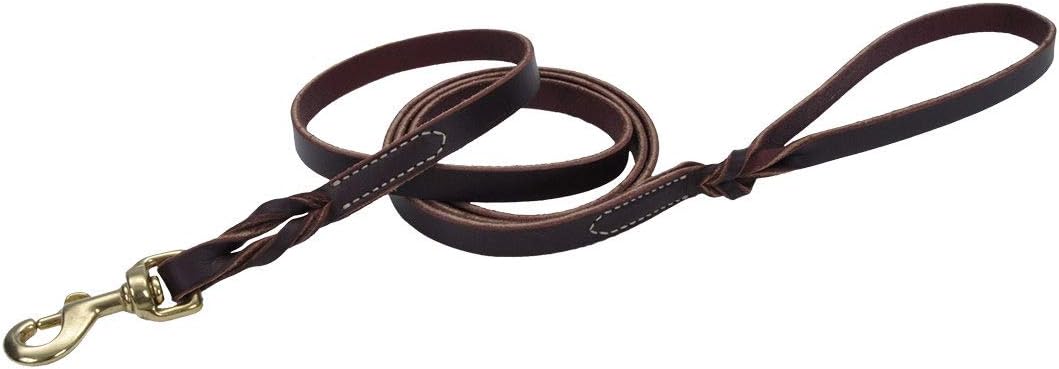 Coastal - Circle T Latigo Leather Twist Dog Leash with Plated Brass Hardware - Brown and Gold - 5/8” x 6’