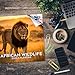 2025 2026 African Wildlife - Wild Animal Monthly Wall Calendar, 16 Months 12