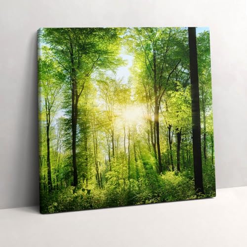 Arbres forestiers naturels tableau photo sur toile déco murale 60x60cm